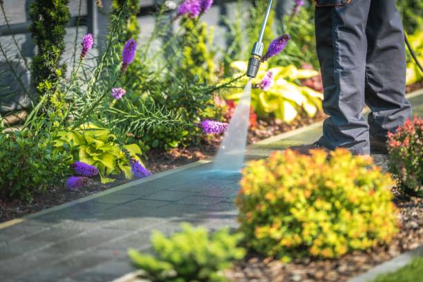 Best Driveway Pressure Washing  in Somerset, PA